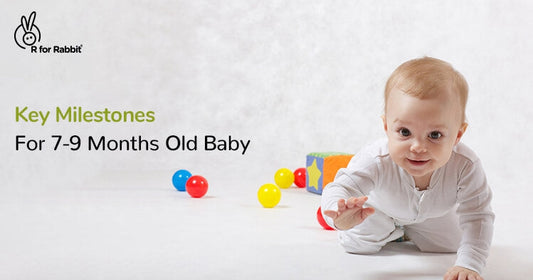 8 Milestones and Development to Expect in Your 7-9 Month Old Baby-R for Rabbit