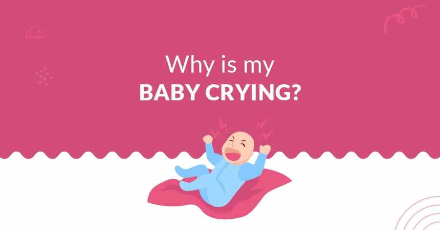 Why is my Baby Crying?-R for Rabbit