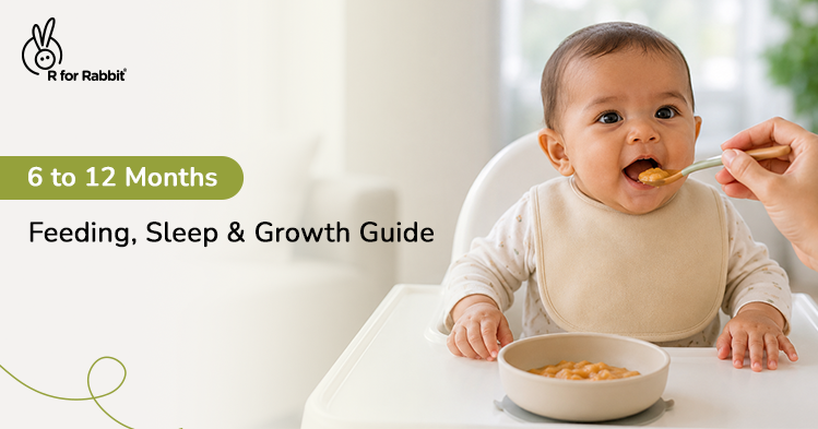 6 to 12 Months: A Complete Guide to Feeding, Sleeping and Growth Milestones