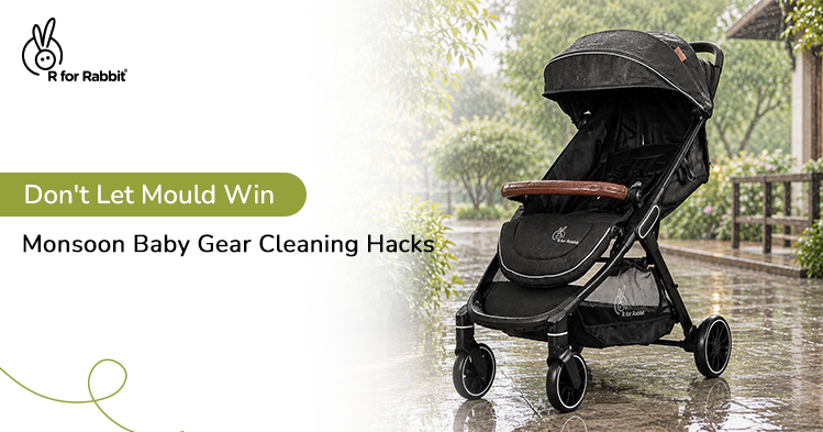 Monsoon Baby Gear Cleaning Guide: Stroller, Car Seat, Carrier and Cradle