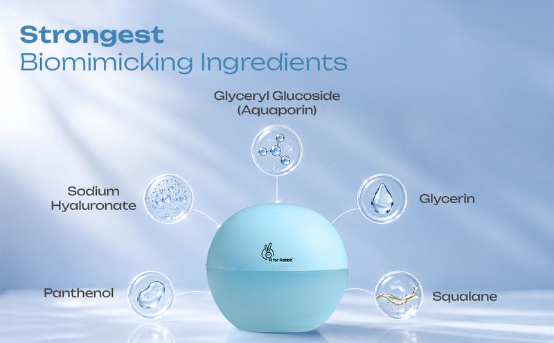 Product Description
