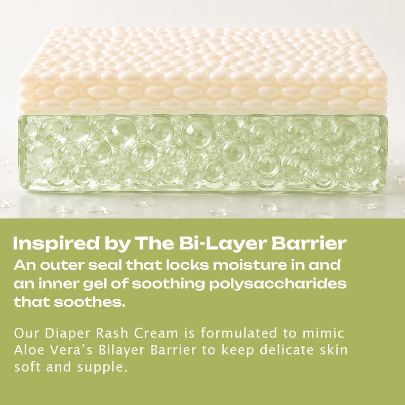 BioMimic Diaper Rash Cream - Zinc Oxide and Ceramide Formula