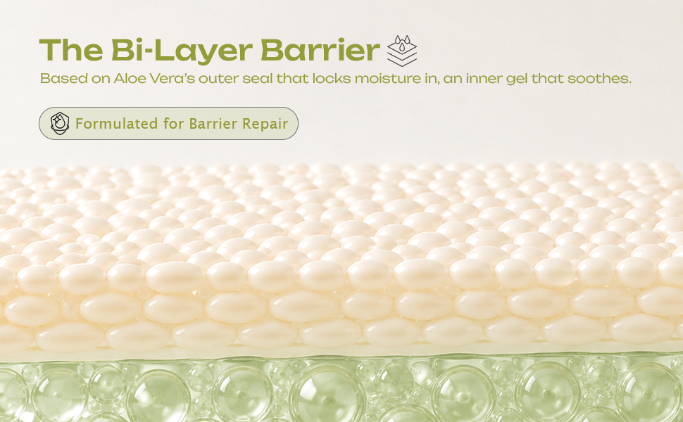 Product Description
