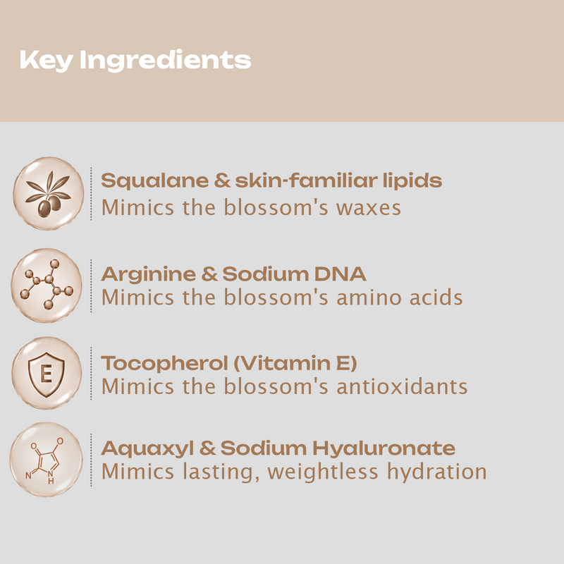 BioMimic Nourish Kit - Baby Moisturiser + Body Lotion + Face Cream for Newborns & Kids