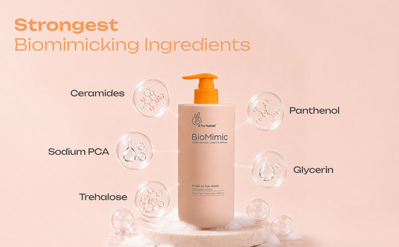 Product Description
