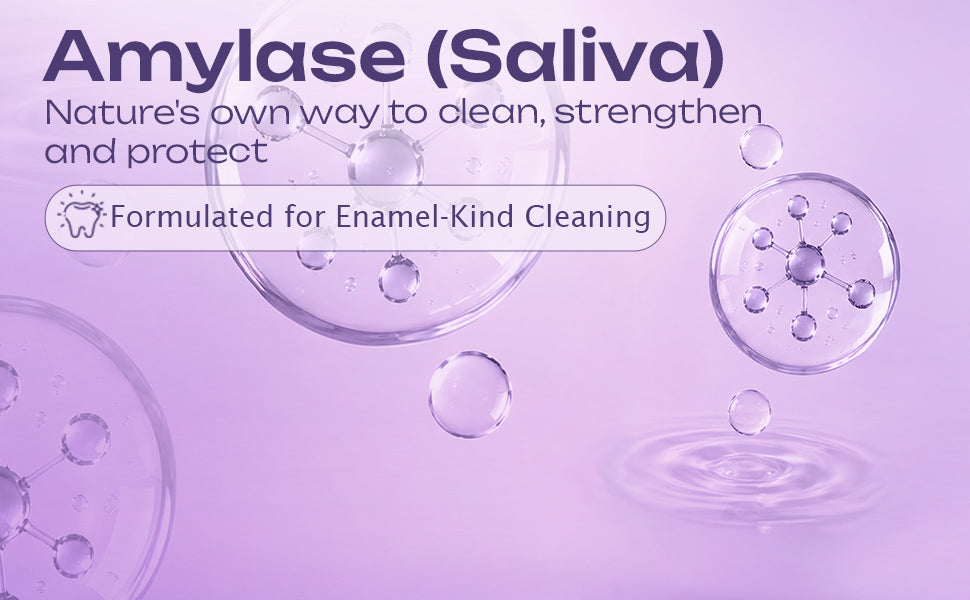 Product Description