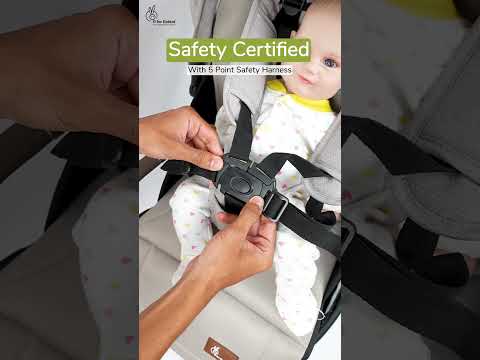 Street Smart Regal Baby Stroller With Personalized Name Plate