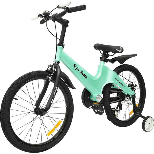 Tiny Toes Rapid 20 inch Bicycle