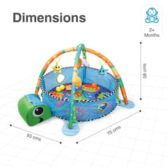 First Play Turtle Play Gym (Multi)